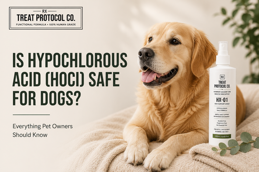 Is Hypochlorous Acid (HOCl) Safe for Dogs? Everything Pet Owners Should Know