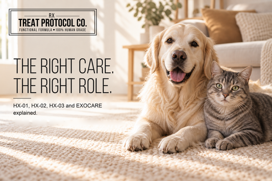HX-01, HX-02, HX-03 or EXOCARE? A Simple Product-Selection Guide
