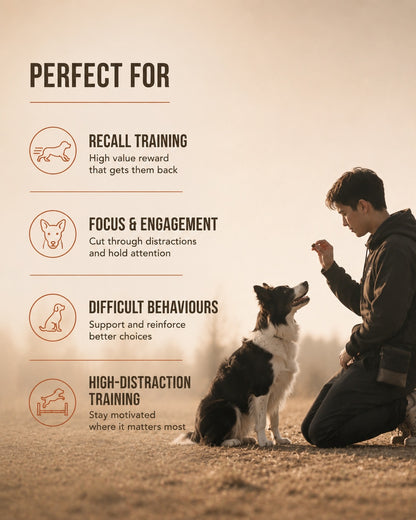 RX-01B Training Reward – 100% Beef Liver