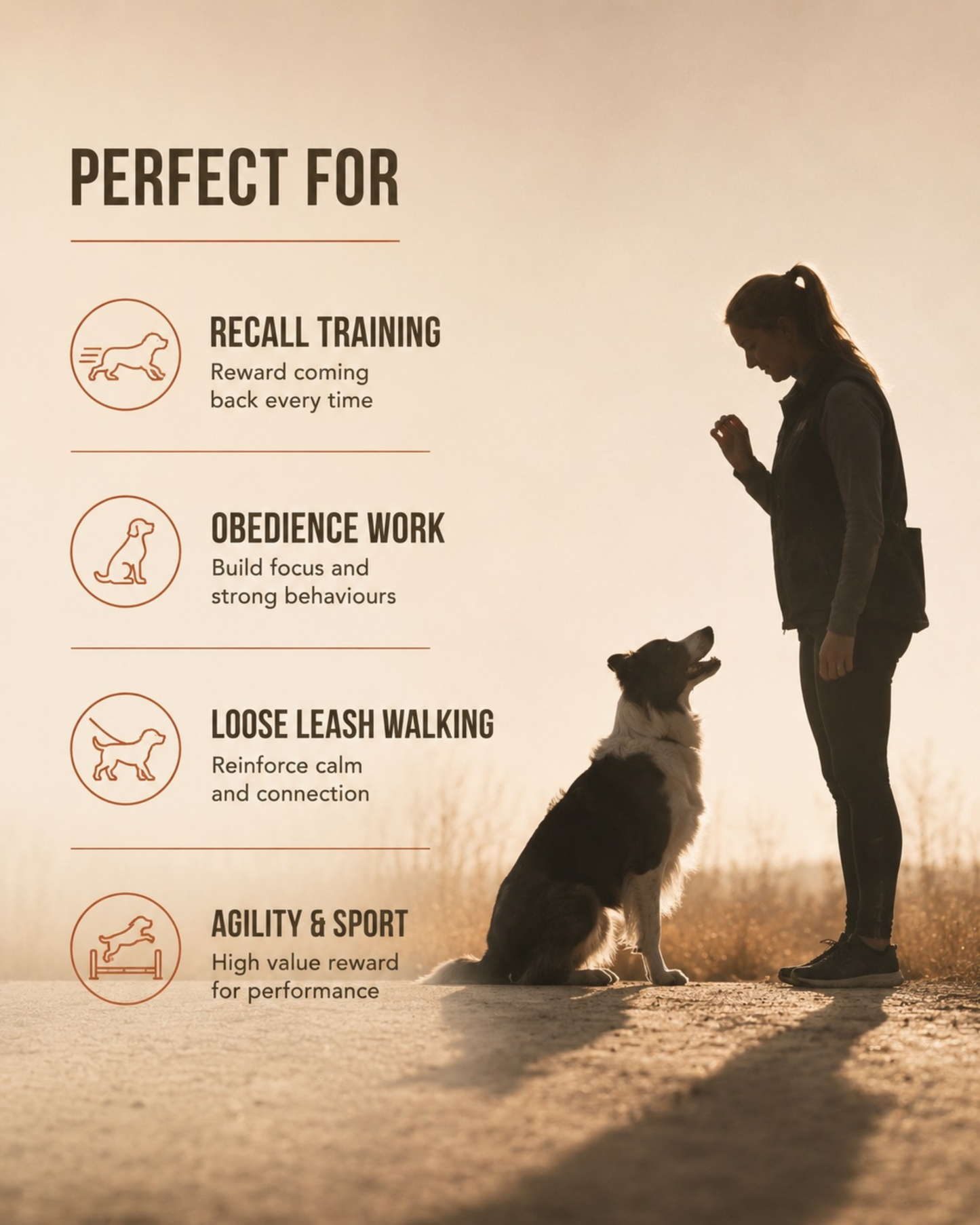RX-01A Training Treats - 100% Chicken Breast