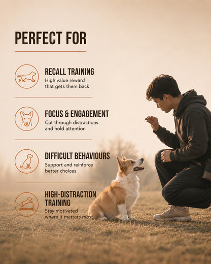 RX-01C Training Reward – 100% Pork Loin