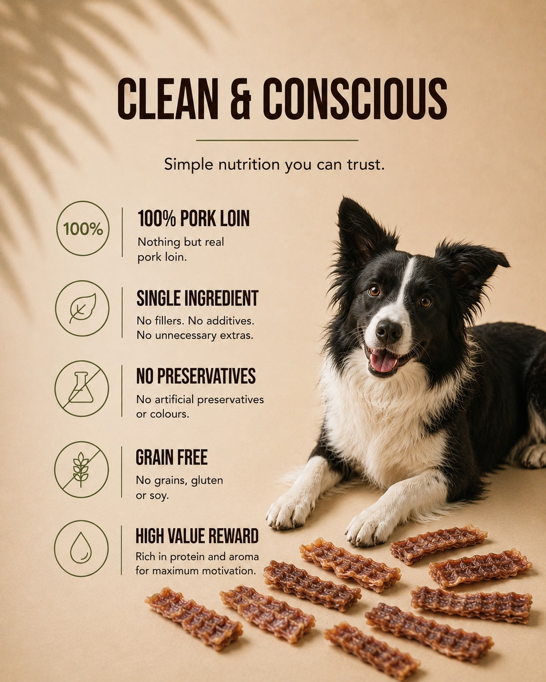 RX-03A Chewy Reward – 100% Pork Loin Jerky